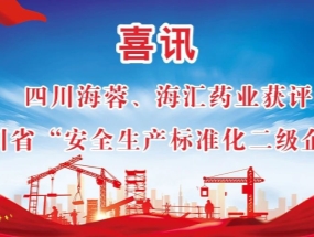 海蓉、海匯藥業(yè)獲評“安全生產(chǎn)標(biāo)準化二級企業(yè)”